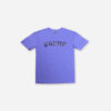 Big Drip Oversized BGDRP 80’s Paisley T-Shirt – Lavendel Lila Bigdrip